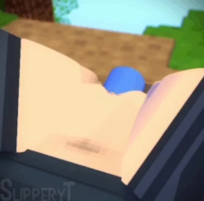 minecraft 483