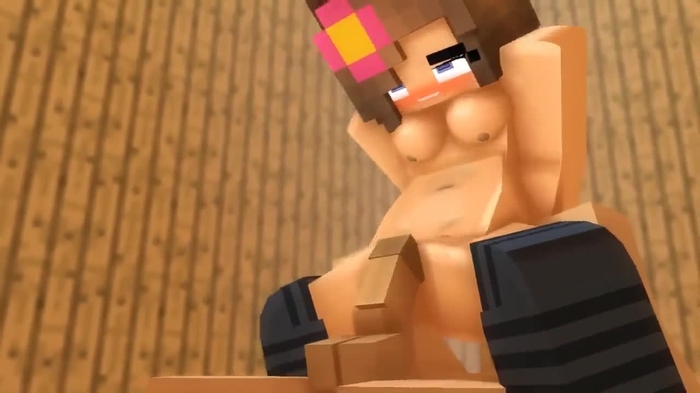 minecraft 501