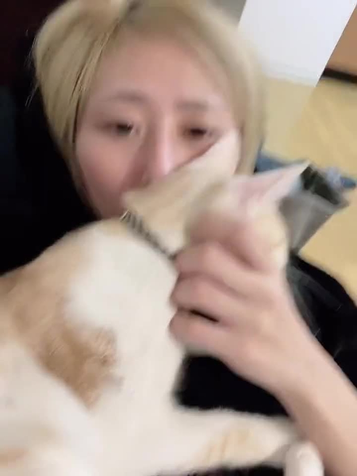 美東澪🐈🐈‍⬛みおっぱい🐈🐈‍⬛🍜 mitoumio 8