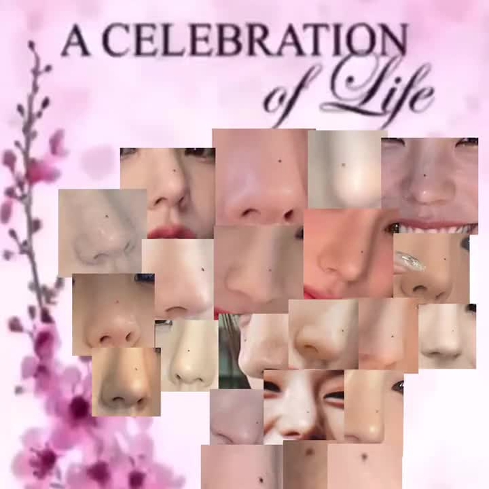 koko shingando 43