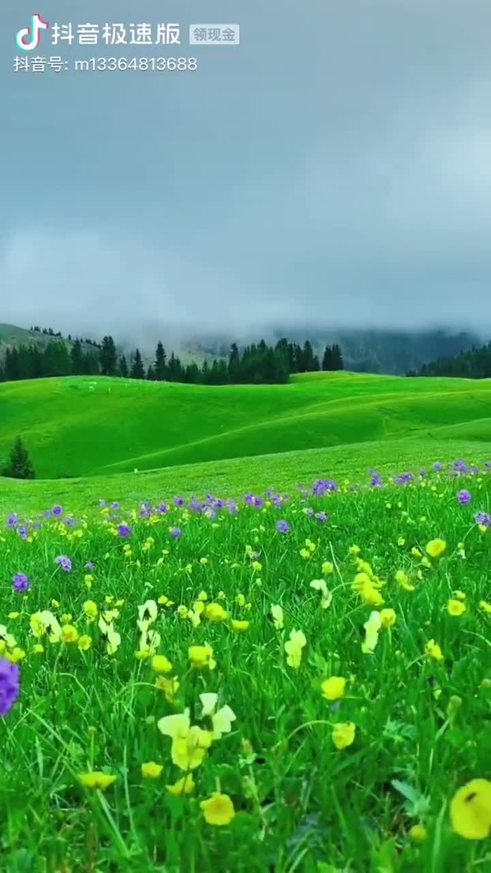 虚己游世 jnyn70758446 10