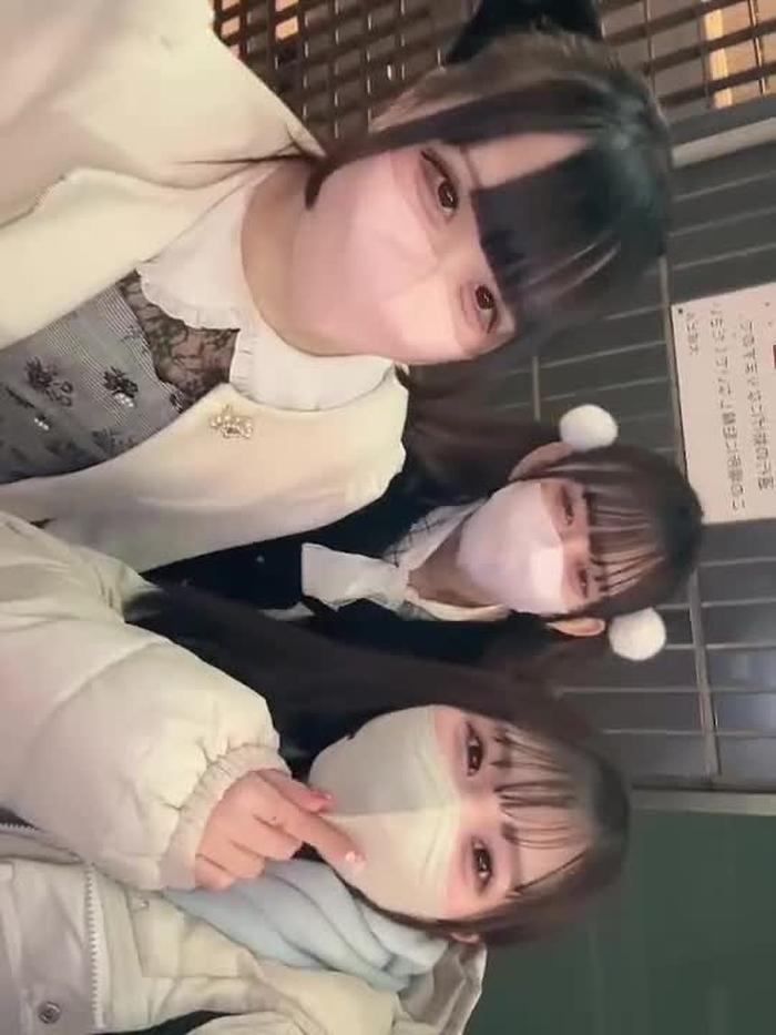 すたーちす statice_info 2