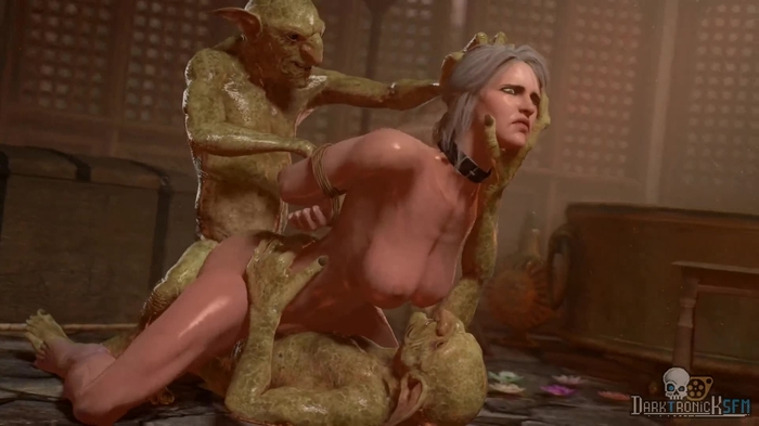 the_witcher_(series) 72