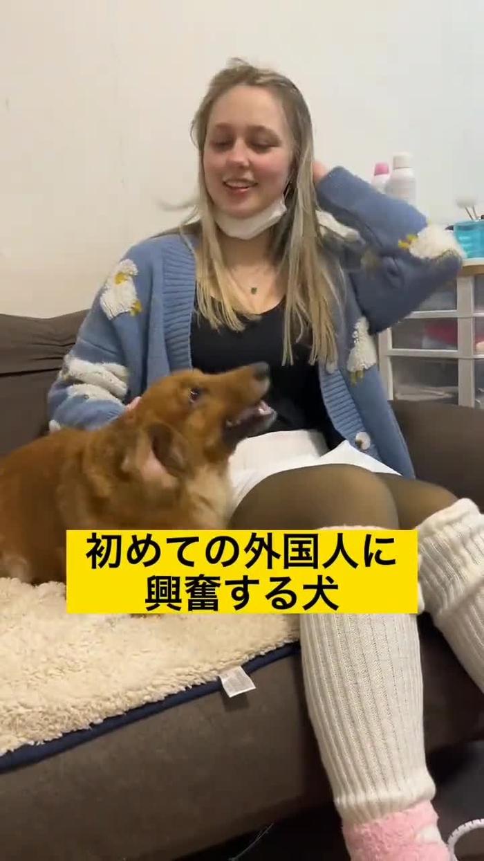 -_-｛ タイツヤンversionII evK5ORJvMBz0VV1 327