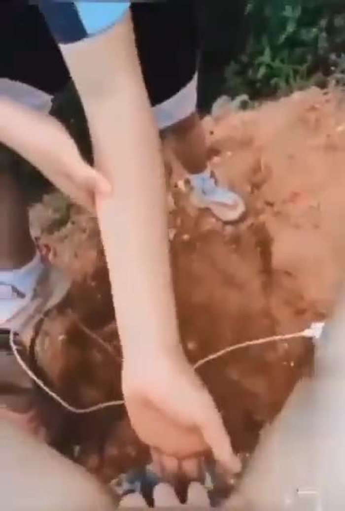 全网最全资源，需要找我！ xqy1234567 3