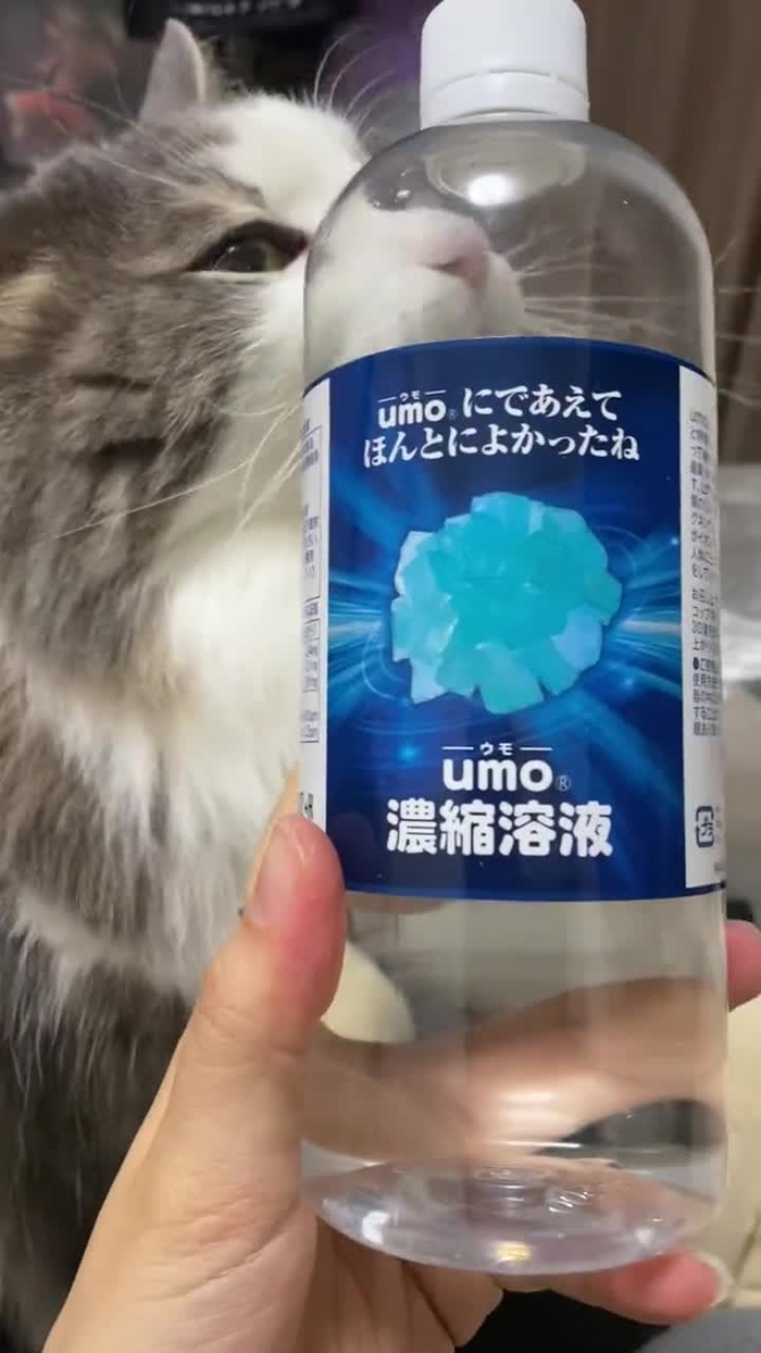 立川みくの/YouTuber miku_mixi_new 7
