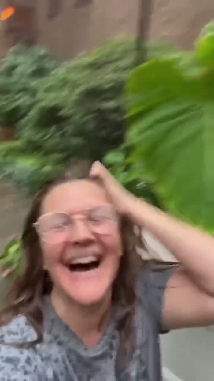 koko shingando 75