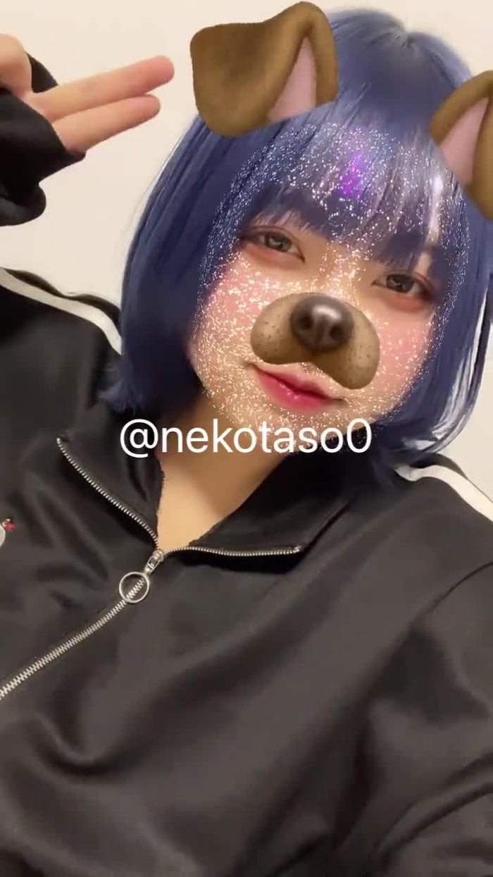 ねこたそ nekotaso0 29