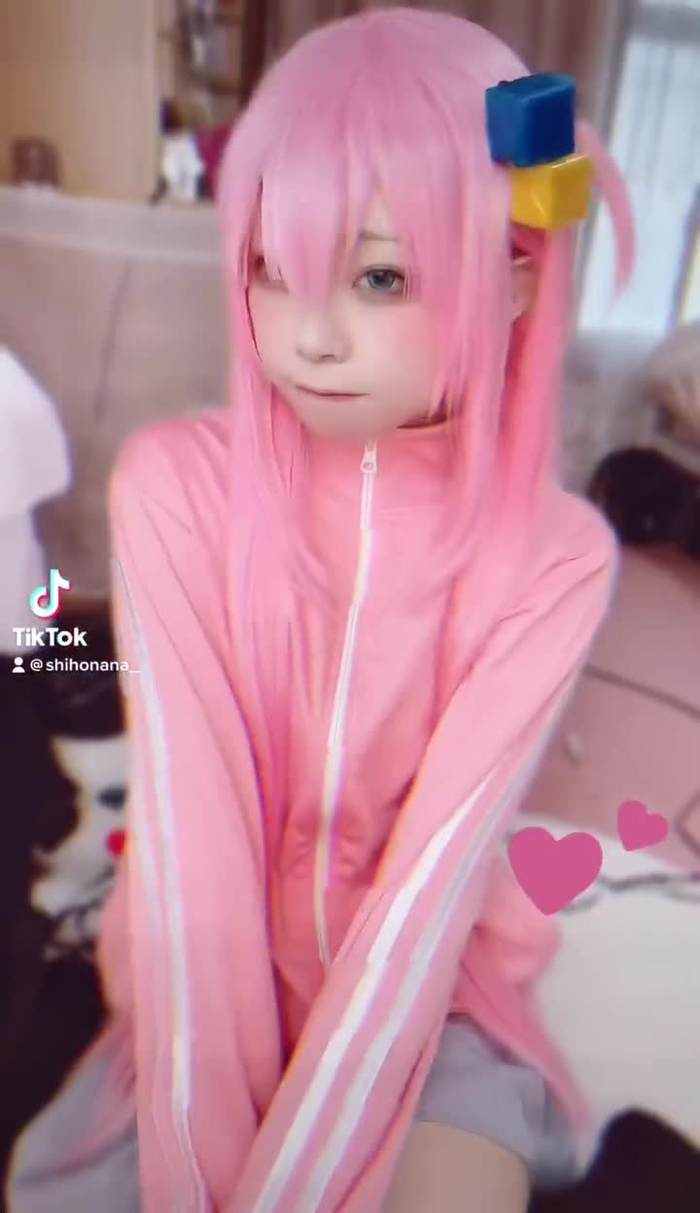 しほな🐾໊ウイコス4/9 shihonana_ 1