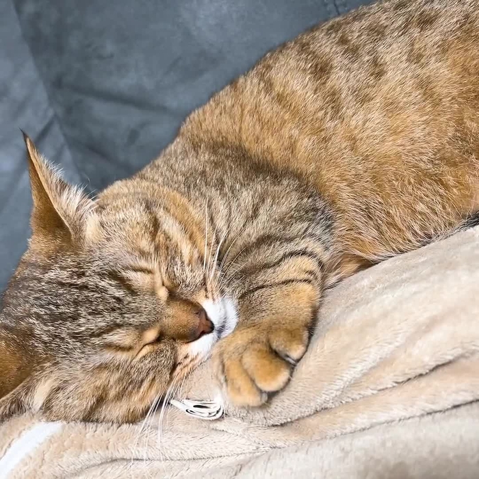 皆月なる mntknr 4