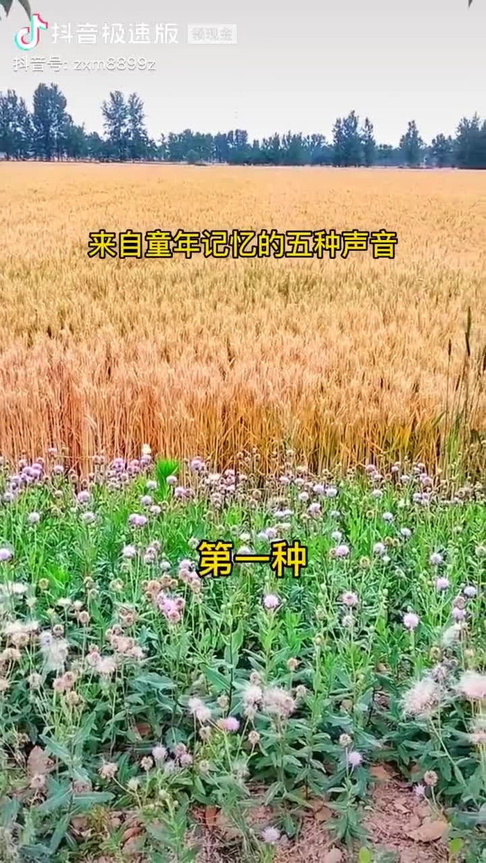 虚己游世 jnyn70758446 12