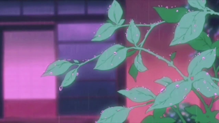 미련 | 메인트 rt milyeon11