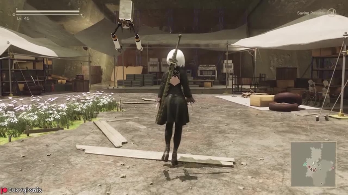 nier 1621