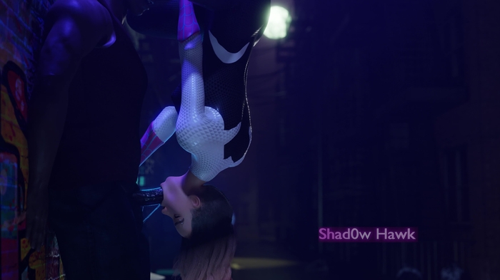 shad0w hawk