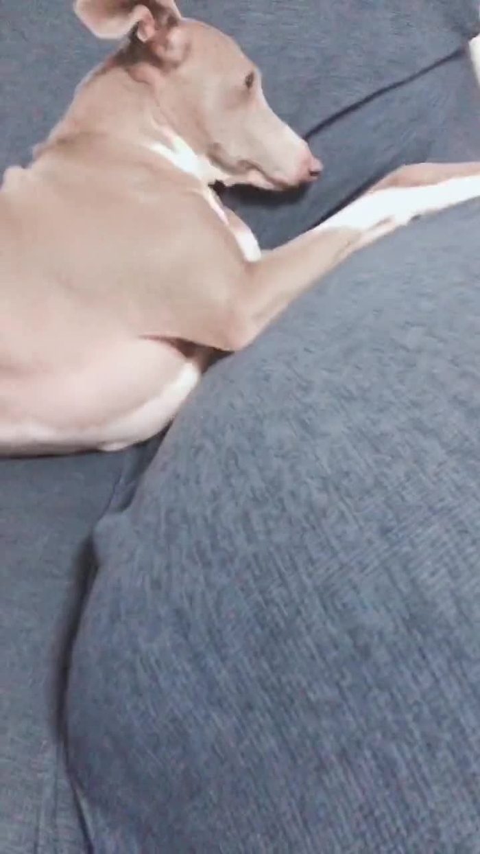 ディアンヌ⋆⸜🧡⸝‍⋆ dhiannuMKing
