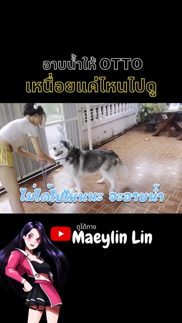 Maeylin​lin Maeylin18