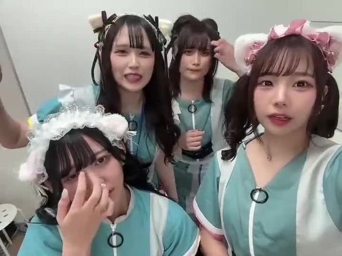 すたーちす statice_info 12