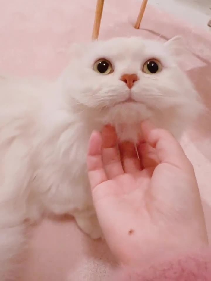 羽咲みはる♡UsaMiharu usa_miharu_