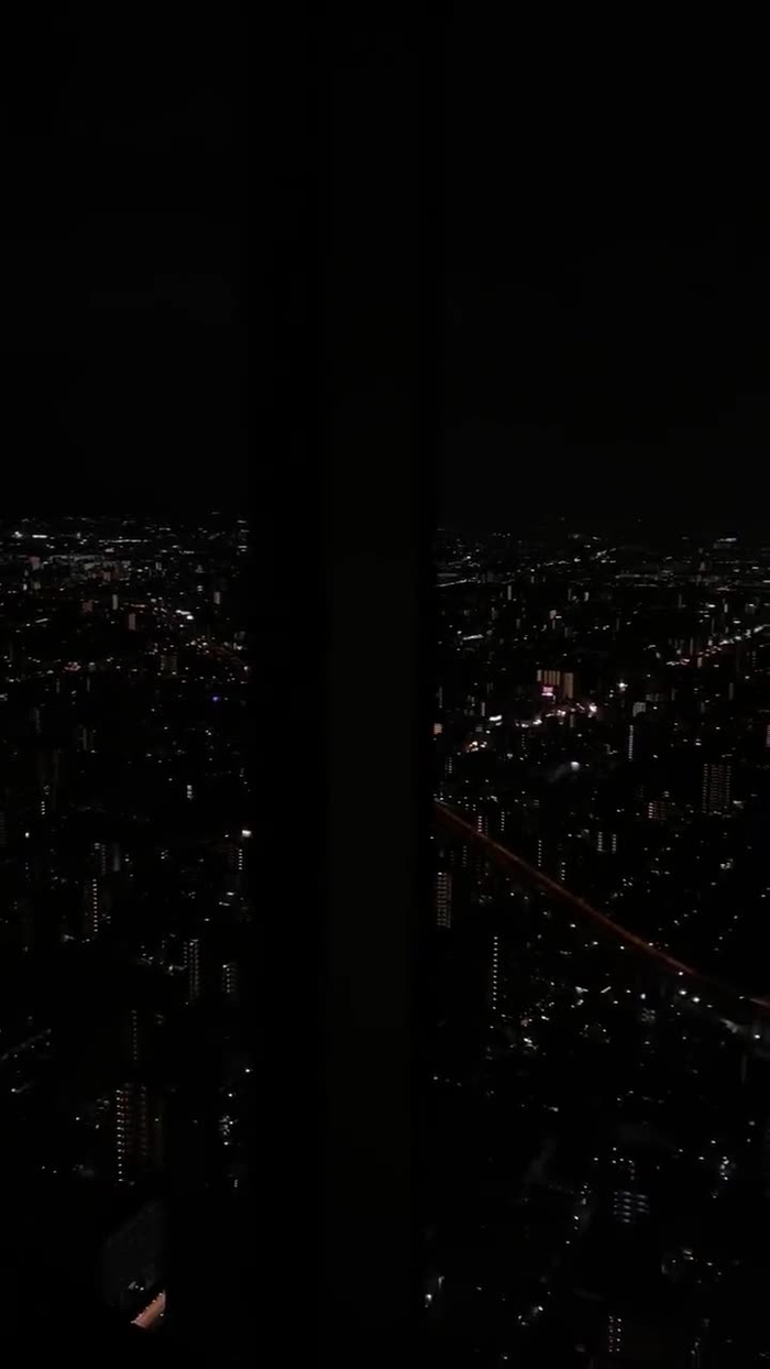 卑猥な華 hiwai_movie 376