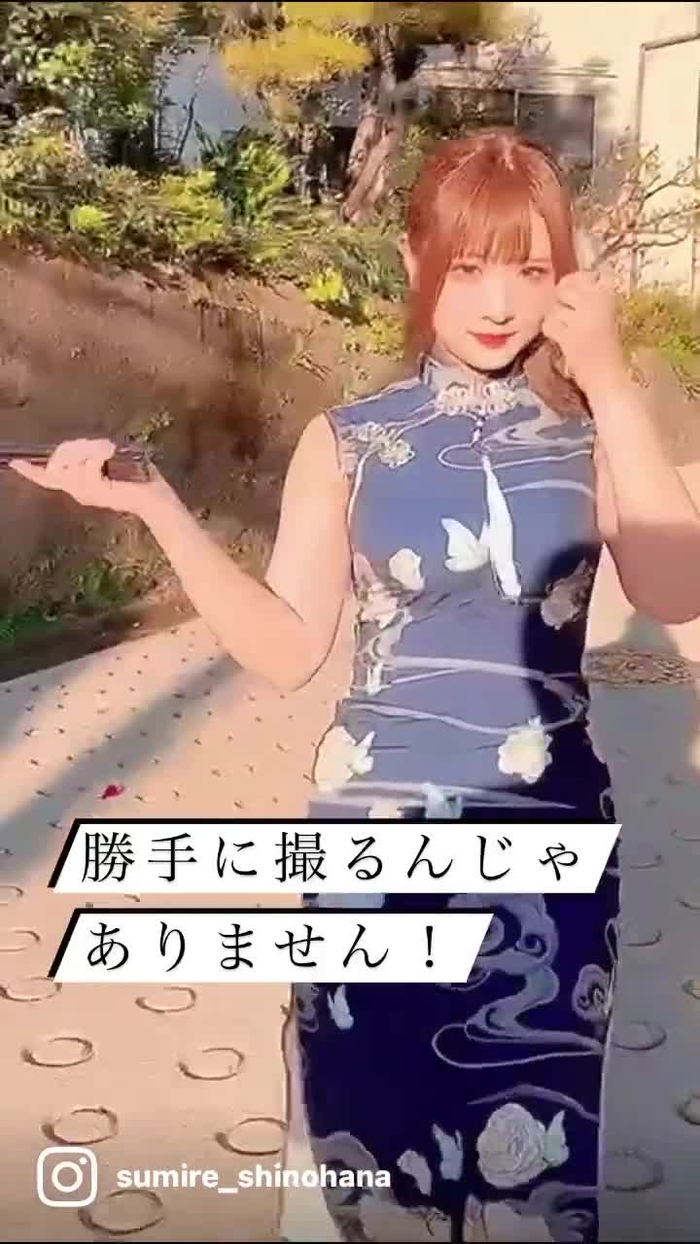 すみれおじさん®︎(紫花 菫)🐹🦊 Sumire_Ojisan 5