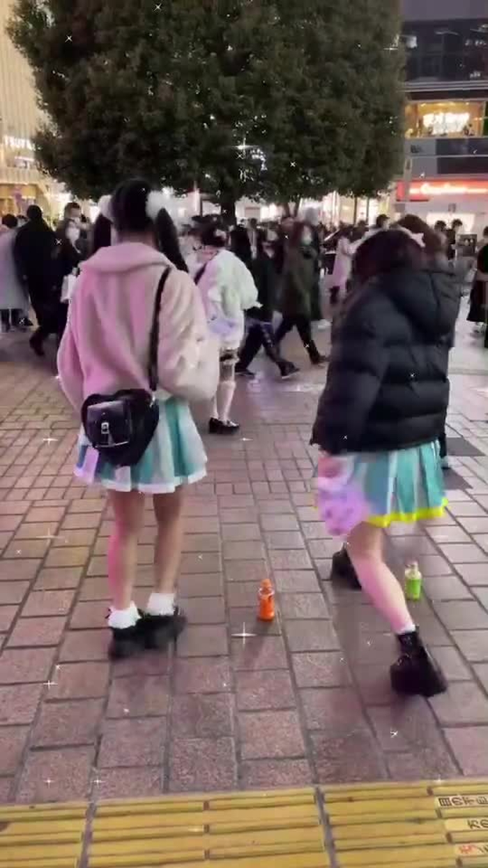 すたーちす statice_info 20