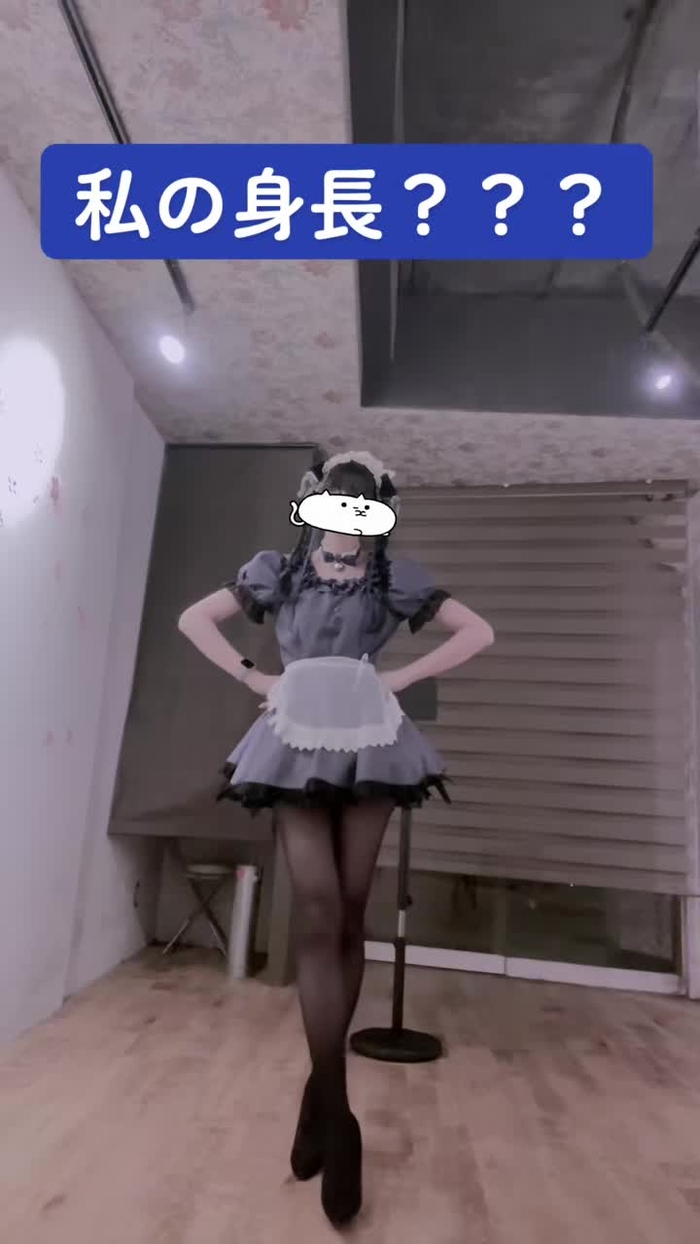 にゃんトリーBAR 62