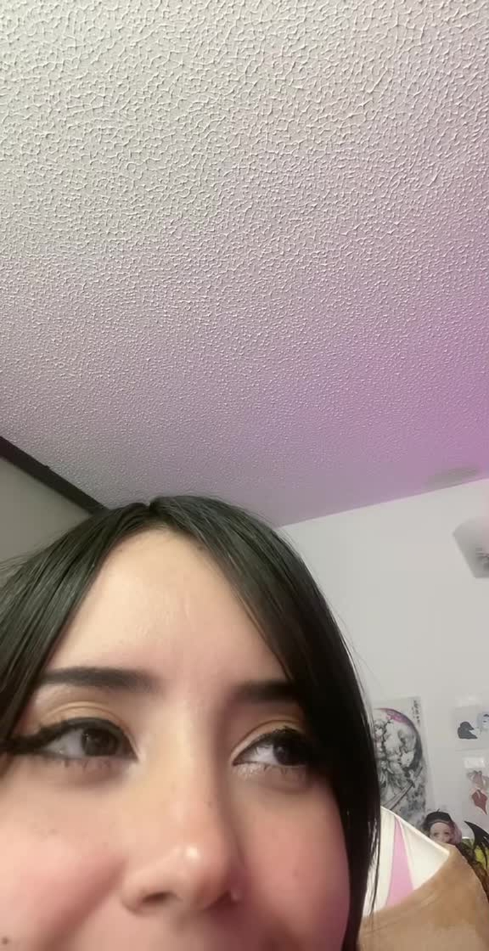 🐰