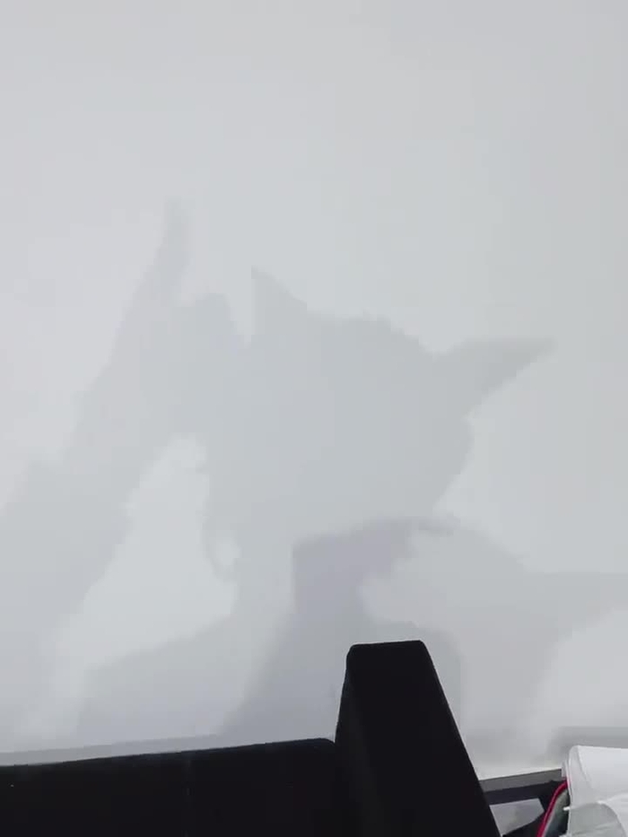 一色碧 issikidayo_n