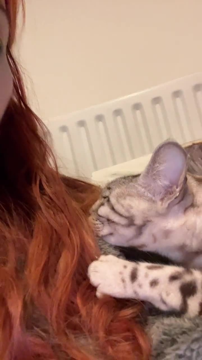 Pixiecat ♡ pixiiecat 43