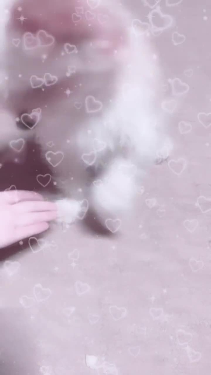 ︎ Lucia _konanedogawa