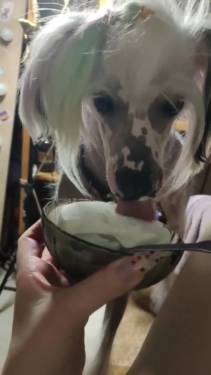 iKona🇺🇦 iKona__ 34