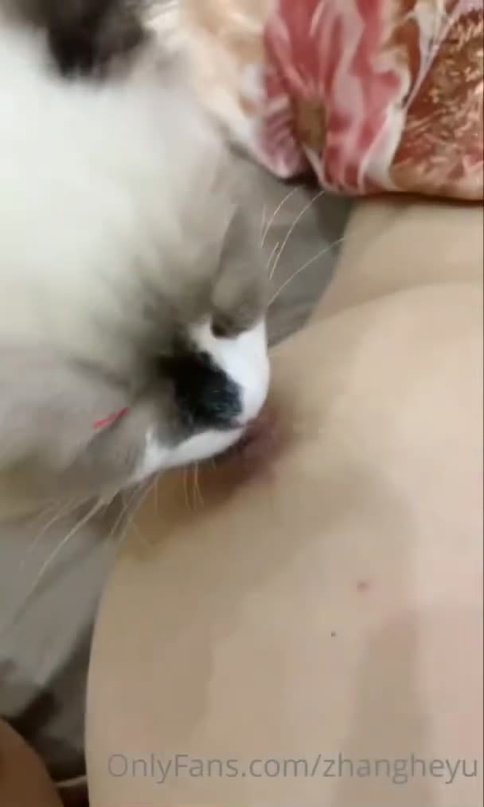 就是老色批 bushilaosepi999 93