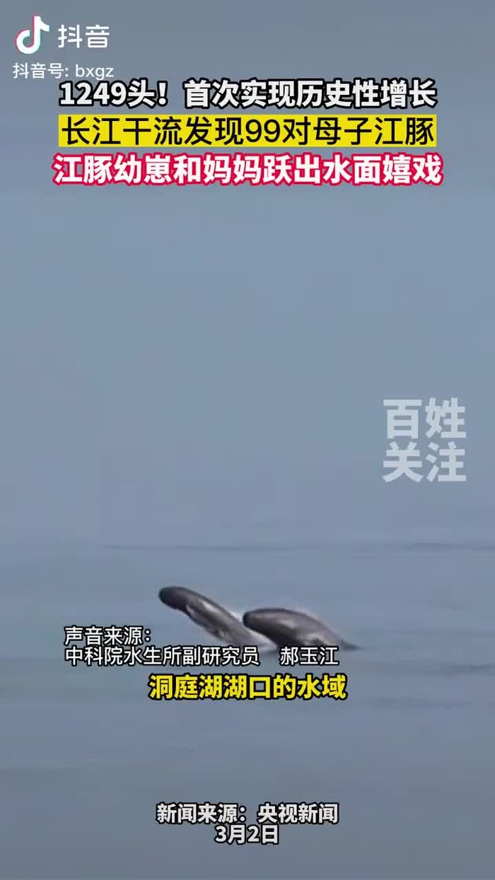 梦想家拉斐尔（互fo） xiangchunerxin1 16