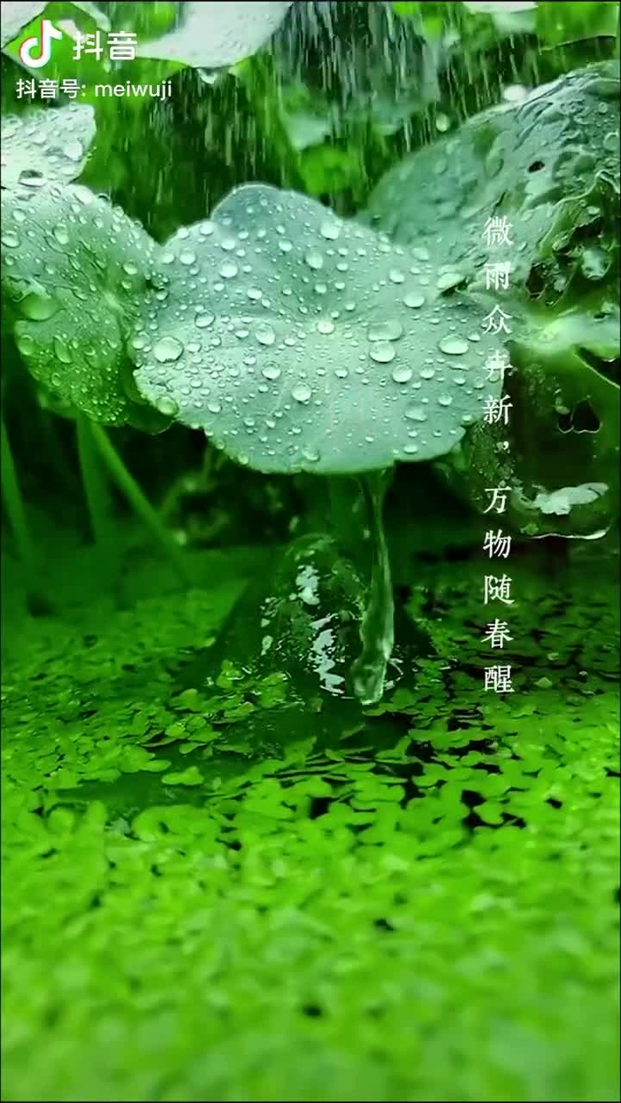 秋意浓 qiuyino93432568 5