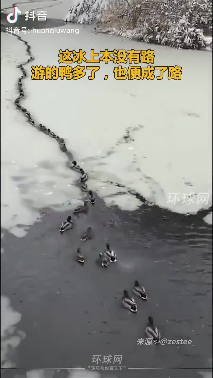 秋意浓 qiuyino93432568 6