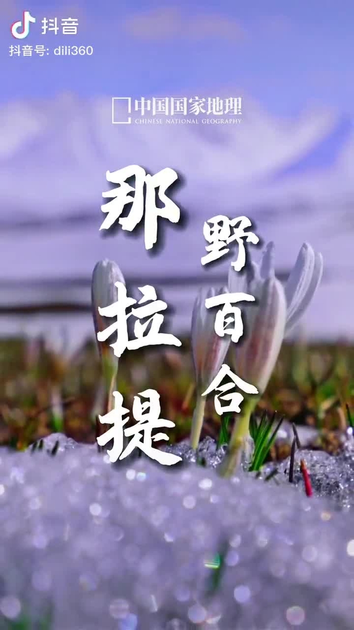 秋意浓 qiuyino93432568 12