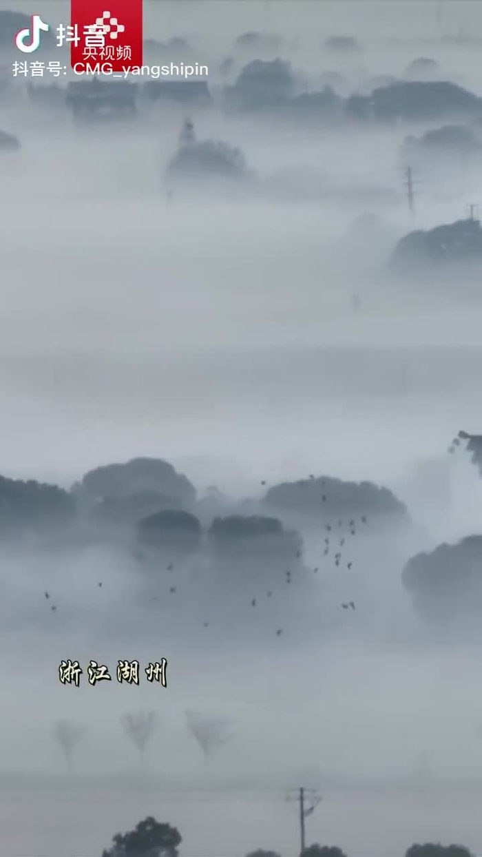 秋意浓 qiuyino93432568 19