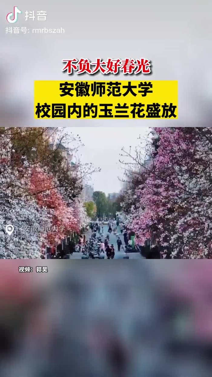 秋意浓 qiuyino93432568 13