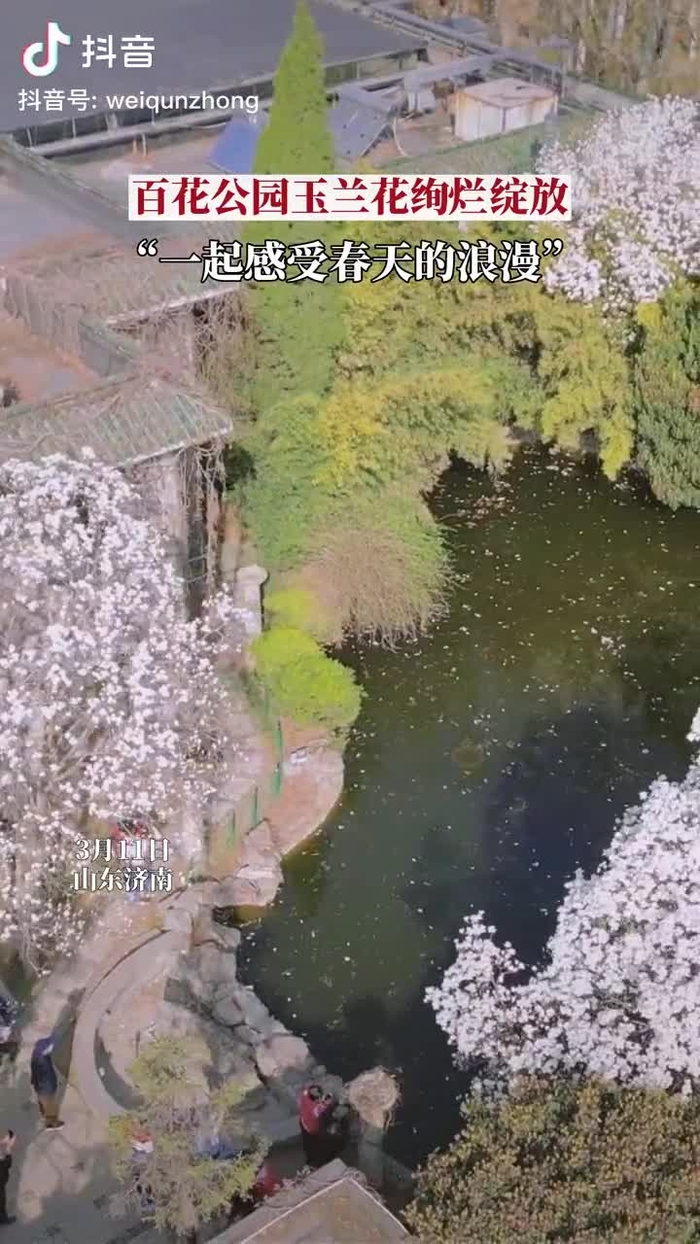 秋意浓 qiuyino93432568 30