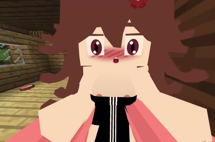 minecraft 554