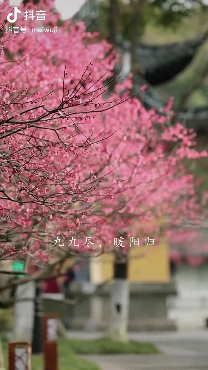 秋意浓 qiuyino93432568 25