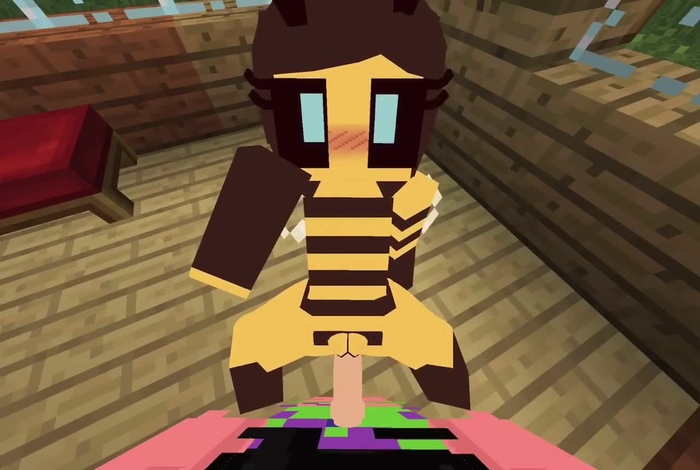 minecraft 555