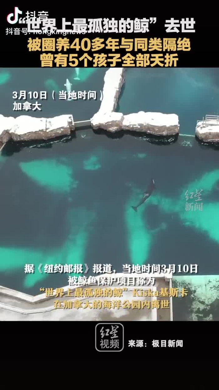 梦想家拉斐尔（互fo） xiangchunerxin1 26