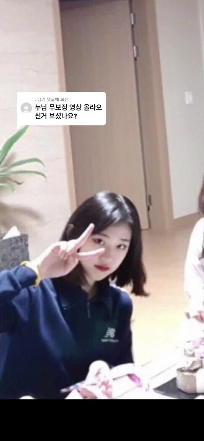 @. 님에게 회신 네! 어차피 들고와봤자 5-6년 혹은 그보다 더 된 사진 영상들 들고와서 현재의 저랑 비교하면서 까는데 별 ...