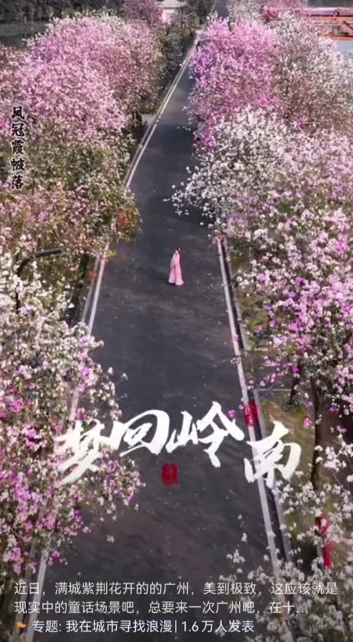 英子颯爽爽 wuliao17378237 7