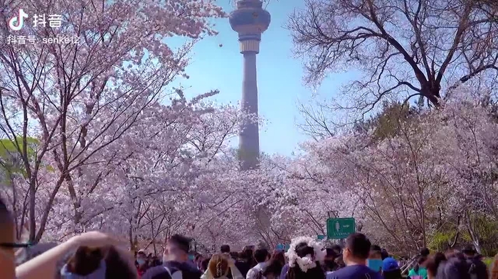 梦想家拉斐尔（互fo） xiangchunerxin1 38