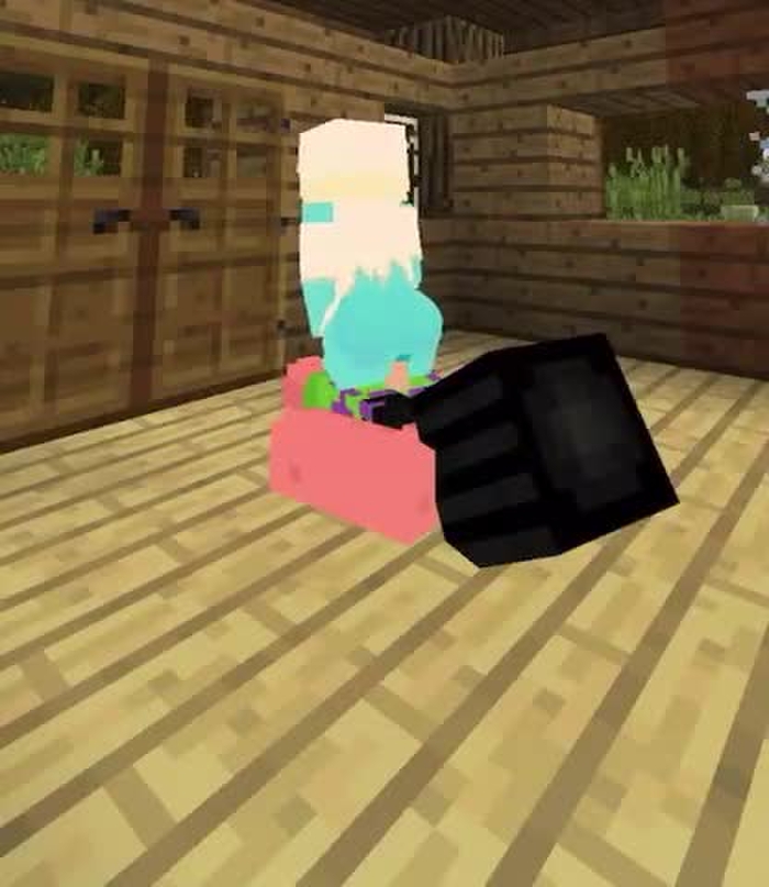 minecraft 564