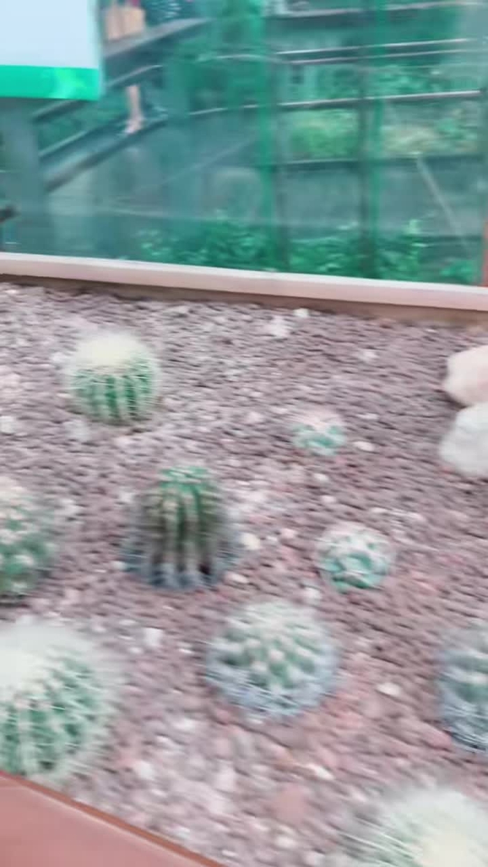 #台北典藏植物館 這裡超棒