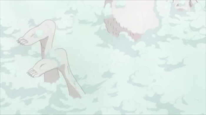 one piece 560