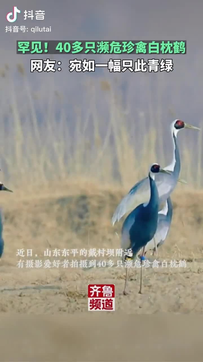 秋意浓 qiuyino93432568 38